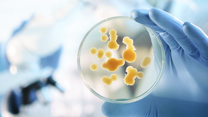 安屹諾聯(lián)系方式